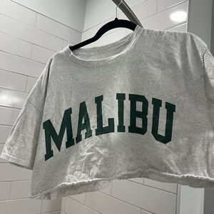 Cropped Brandy melville/john galt malibu tee